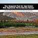 Book Time Management Tips For High Protein Diet Supplements Online Business Success