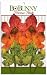 PRECIOUS PETALS MAPLE LEAF 6PK