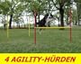 4 X AGILITY-�BUNGS-H�RDEN-SET IN ROT/GELB