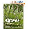 Agaves