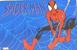 Disney Spiderman Web Clear Place Mat