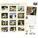 For the Love of Siberian Huskies Deluxe - 2017 Calendar 14 x 12in