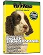 ENGLISH SPRINGER SPANIEL DVD! + Dog & Puppy Training Bonus