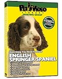 ENGLISH SPRINGER SPANIEL DVD! + Dog & Puppy Training Bonus