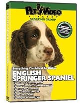 ENGLISH SPRINGER SPANIEL DVD! + Dog & Puppy Training Bonus