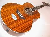 Daisy Rock Butterfly Jumbo Acoustic-Electric Guitar, Zebra Butterfly