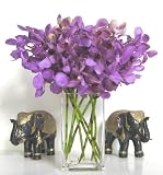 Fresh Flowers - Nora Mokara Orchids with Vase