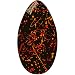 Sporting Goods : 360 Inc. Wave Rebel Zoomers 35 Skim Board