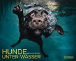 Hunde unter Wasser