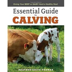 Essential Guide to Calving: Giving Your Beef or Dairy Herd a Healthy Start