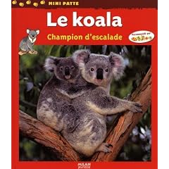 Le koala : Champion d'escalade