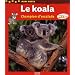 Le koala : Champion d'escalade