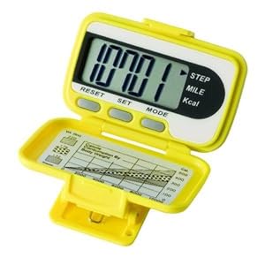 Ekho WorkerBee Pedometer