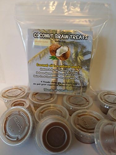 Coconut Brian Treats Chocolate Peanut Butter Bliss 28 count (packs of 4)