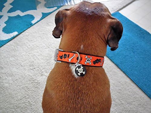 Halloween Skulls and Bats Collar Medium