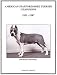American Staffordshire Terrier Champions 1952-1987