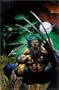 Hulk/Wolverine: 6 Hours (Hulk Legends, Vol. 1)
