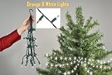 Collegiate Color Hookstrand Christmas Lights - X-Small - Orange & White