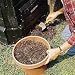<B>Compost Alive! </b> One 2-lb bag for dry plant matter and one 2-lb bag for green matter