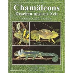 Cham�leons: Drachen unserer Zeit