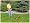 Scotts 2000-20 20-Inch Classic Push Reel Lawn Mower