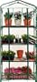 Misco GH41 Four Shelf Greenhouse