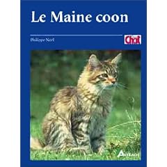 Le Maine Coon