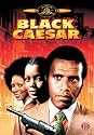 Black Caesar [DVD] [1973]