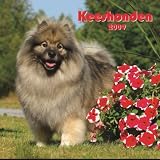 Keeshonden 2009 Calendar