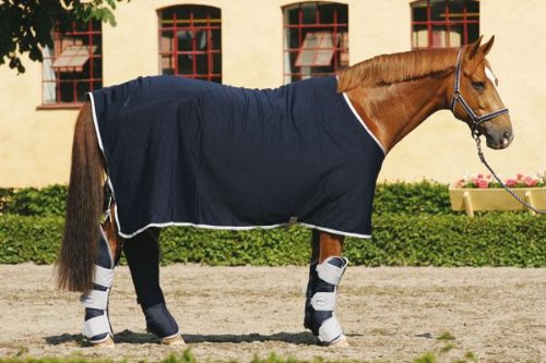 Amigo Jersey Pony Cooler
