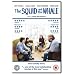 The Squid And The Whale [DVD] [2005]