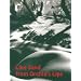 Enjoy ORCHIDS