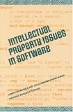 Intellectual Property Issues In Software
