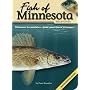 Fish of Minnesota Field Guide (The Fish of)