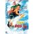 Surf Ninjas