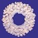 24" Pre-Lit Crystal White Spruce Artificial Christmas Wreath - Clear Lights