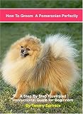 How to Groom a Pomeranian Perfectly: A Step by Step Instructional Guide for Grooming Your Pomeranian