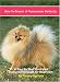 How to Groom a Pomeranian Perfectly: A Step by Step Instructional Guide for Grooming Your Pomeranian by Tammy Sprinkle