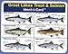 Great Lakes Salmon and Trout Ident-I-Card - Freshwater Fish Identification Card