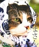 『でぶねこめんまさん』の写真