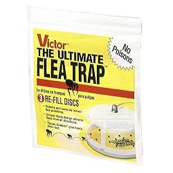 Victor M231 Ultimate Flea Trap Refills, Pack of 3