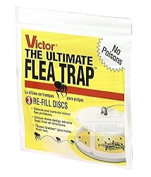 Flea traps