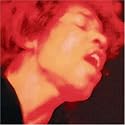 エレクトリック・レディランド