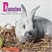 Bunnies 2009 Wall Calendar