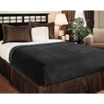 SAVE $10.01 - Sun Yin USA Inc Microplush Twin Blanket, Black $19.99