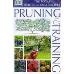 RHS Pruning and Training