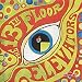 The Psychedelic Sounds of the 13th Floor Elevators