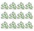 ONE Dozen (12 pieces) of 23" Nitida (Mini) Ficus Sprays