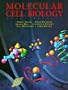 Molecular Cell Biology
