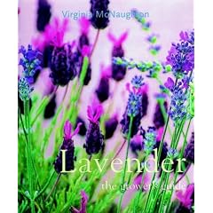 Lavender: The Grower's Guide